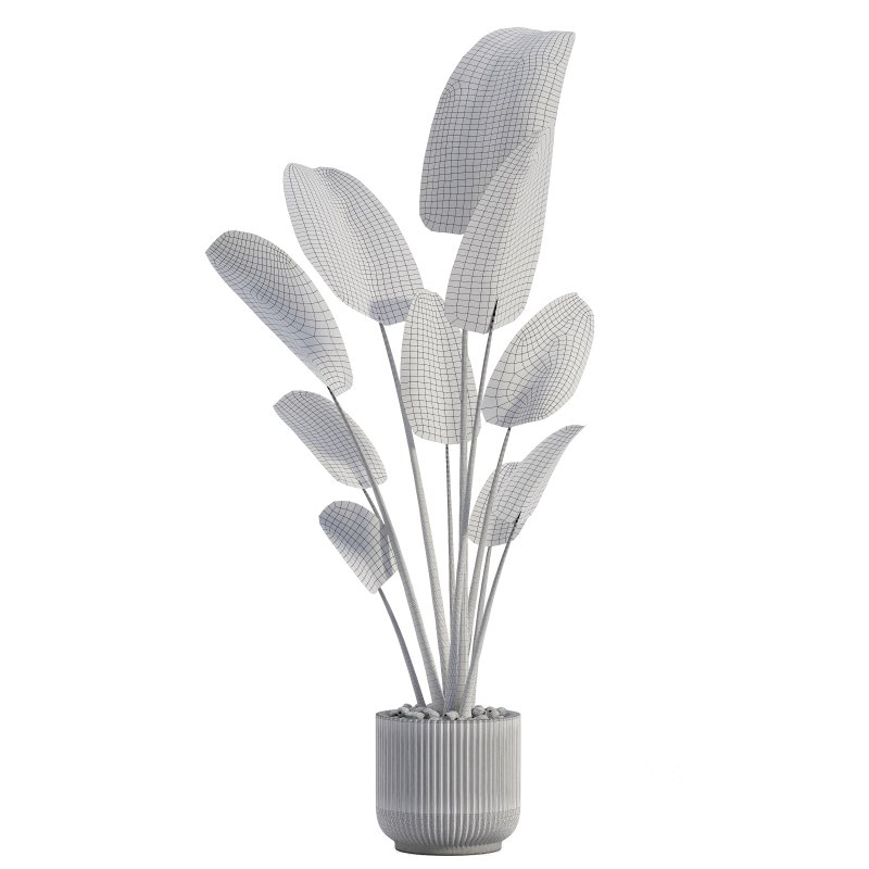 Indoor Plant 01 Image 4