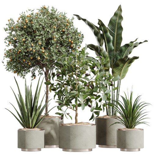 AV Indoor Plants Set 249