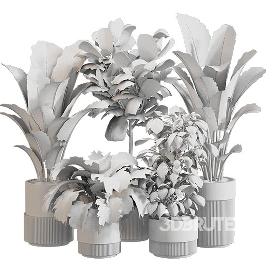 Indoor Plant Set 0159 Image 5