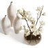 White Magnolia in Glass Vase - Thumbnail 3