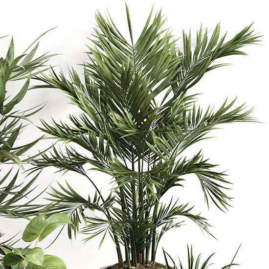 Indoor Plant Set 0158 Image 3