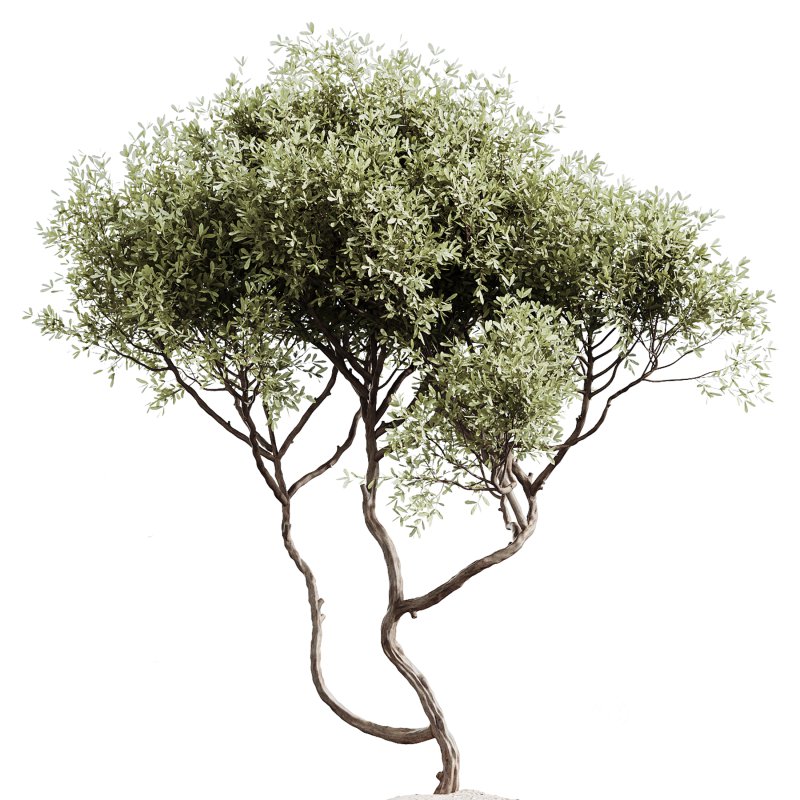 ntal plants. Each plant is placed in finely crafted marble-textured or ribbed pots, enhancing their modern, luxurious appeal. Image 3