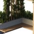 OutDoor plants – 3 Pergola plants set - Thumbnail 3