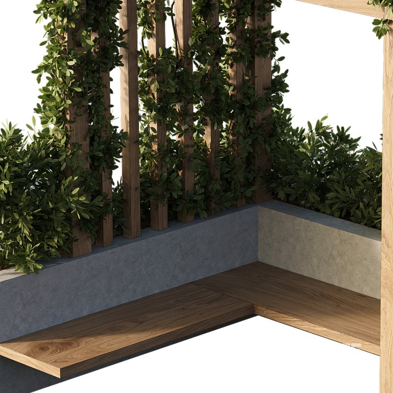 OutDoor plants – 3 Pergola plants set Image 3