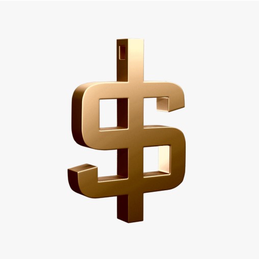 $ Symbol Keychain