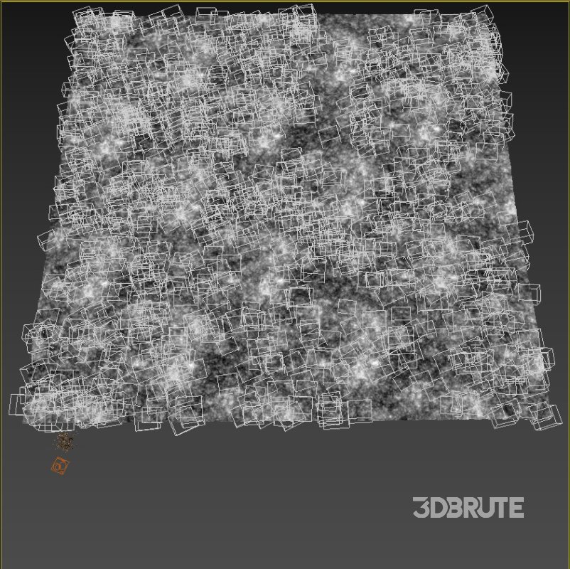 meadow (autumn) Image 6