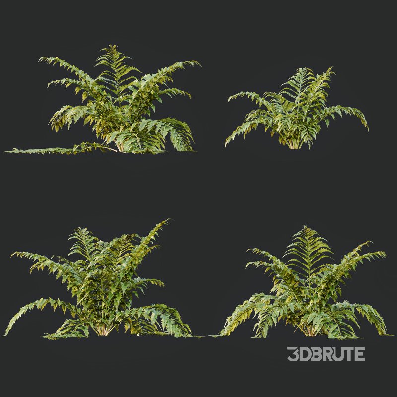 ntal gardens. It introduces a tender and romantic texture, ideal for rendering borders, wildflower beds, or traditional landscaping scenes. Image 9