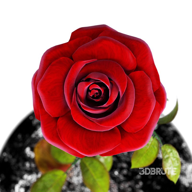 Rose in the movie Beauty and the Beast Image 3