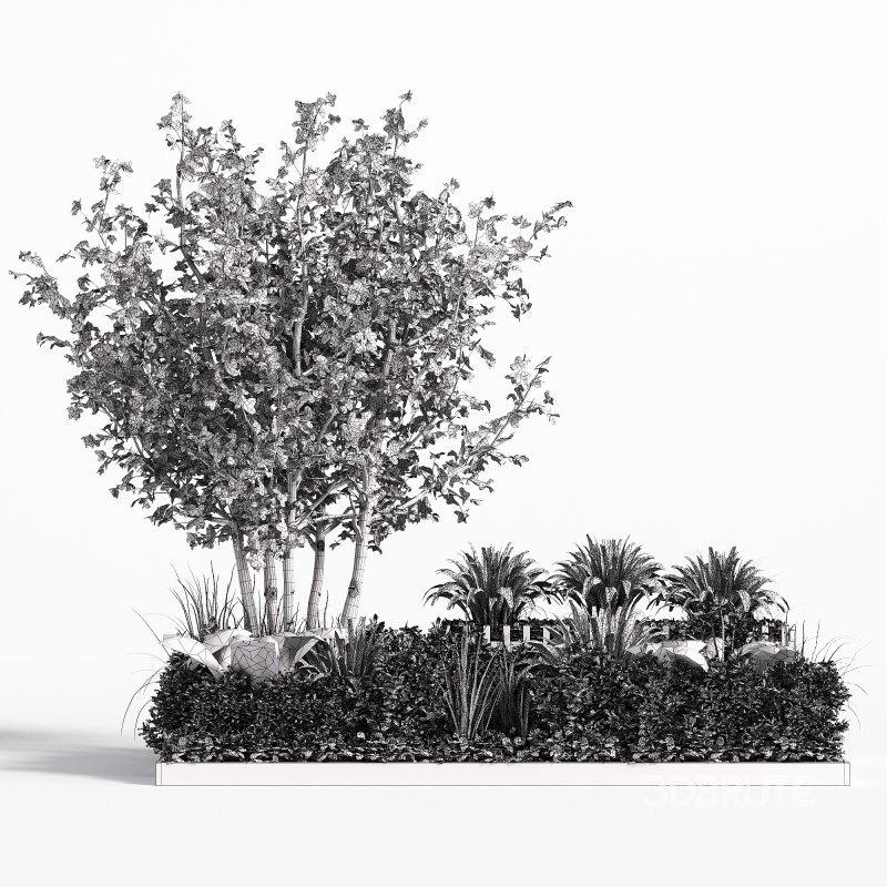 Outdoor Garden plants set in a box Image 3