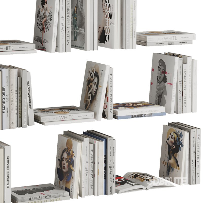 Set of Books V8 Image 4