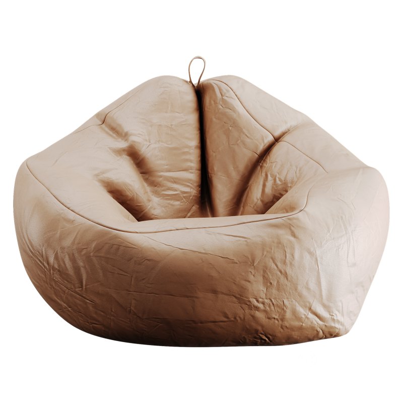 Bean Bag Image 4