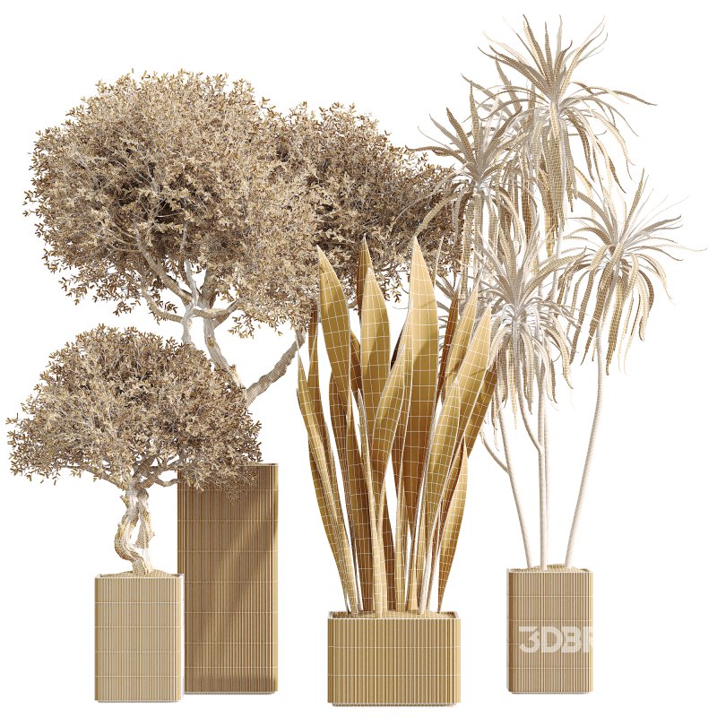 AV Indoor Plants Set 264 Image 6