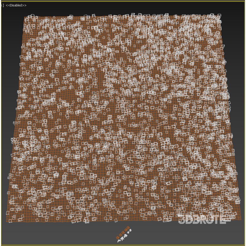 meadow (spring) Image 4