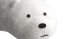 White_Bear - Thumbnail 5