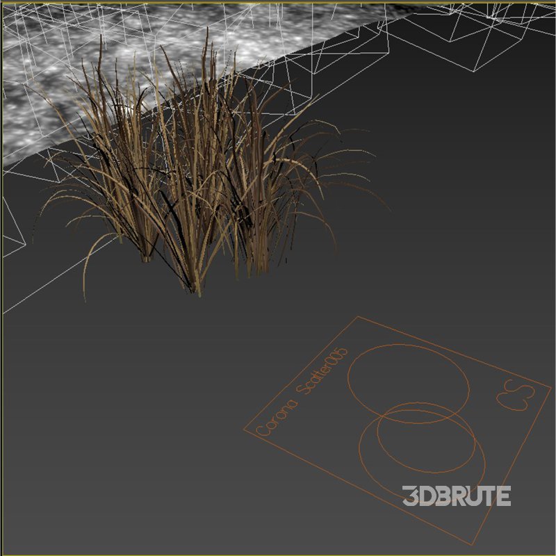 meadow (autumn) Image 1