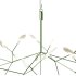 Heracleum III Suspended Suspension Light - Thumbnail 3
