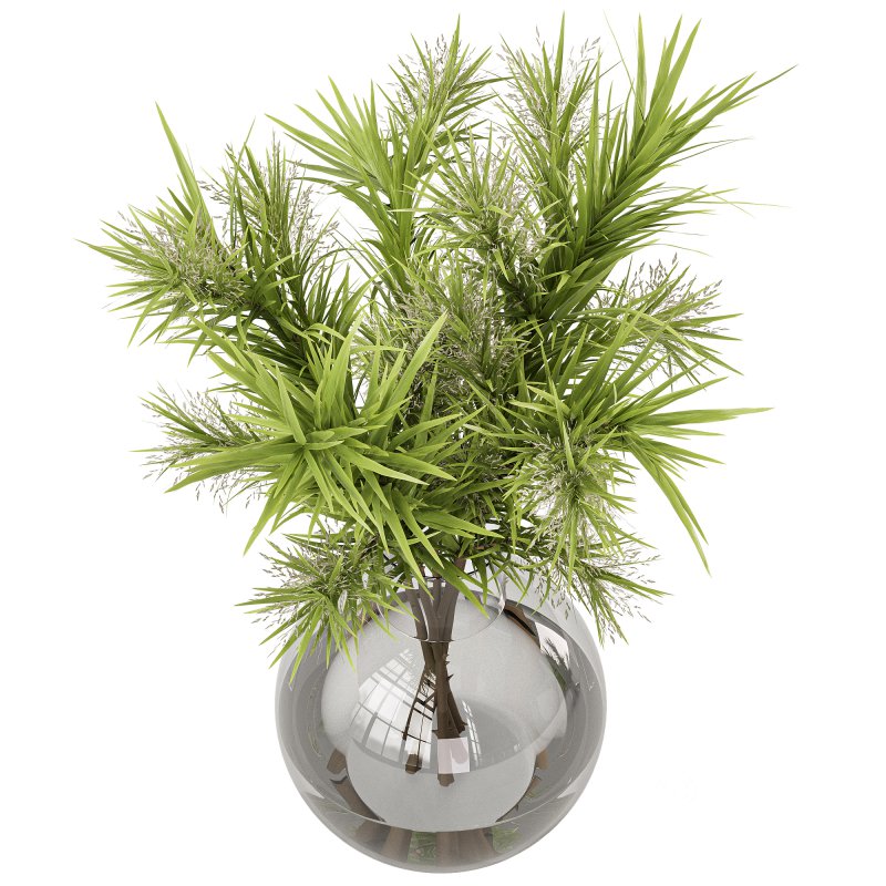 Plants bouquet set 18 Image 2