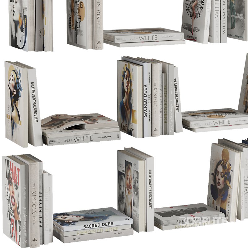 Set of Books V8 Image 5