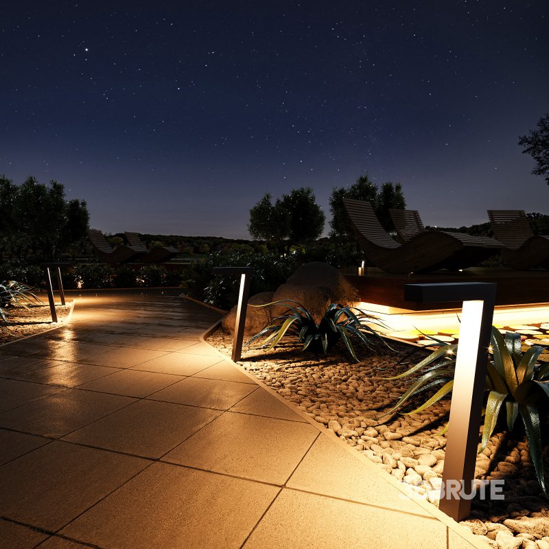 Outdoor Plants – town Square 2 Image 7