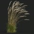 ntal grass set combines two iconic and highly architectural species known for their graceful movement and seasonal texture. - Thumbnail 8