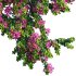 Bougainvillea – Paper Flower 04 - Thumbnail 4
