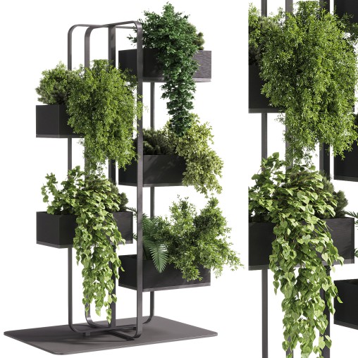 indoor plants – 53 Plant Stand