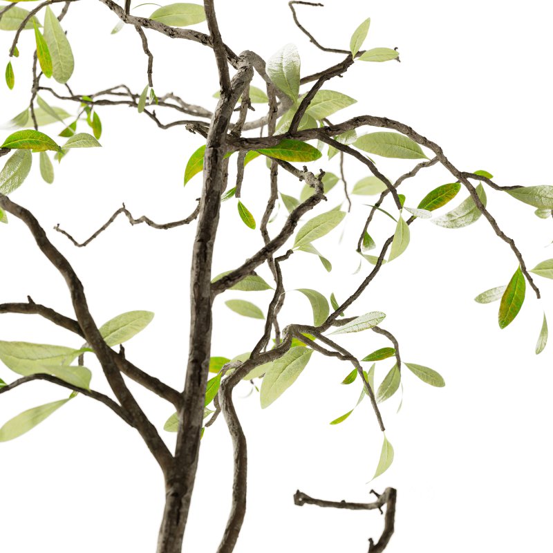 Bouquet set 38 Image 1