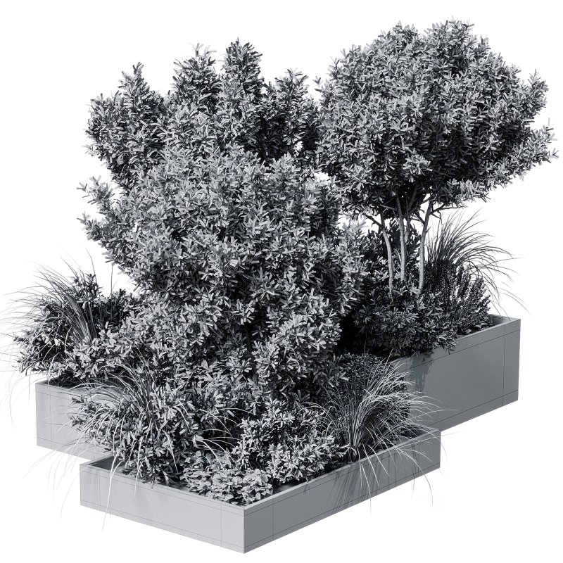 Outdoor plants 12 Image 5