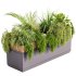 Indoor plant- 20 metall and wooden in box on stand - Thumbnail 7