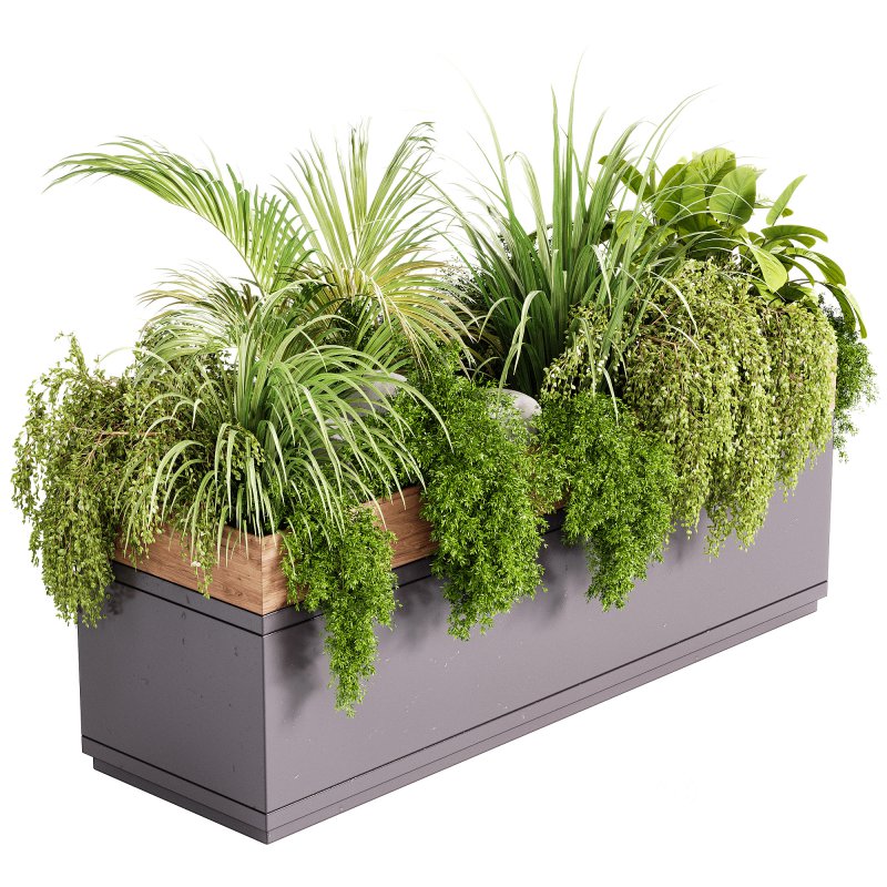 Indoor plant- 20 metall and wooden in box on stand Image 7