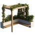 OutDoor plants – 3 Pergola plants set - Thumbnail 4