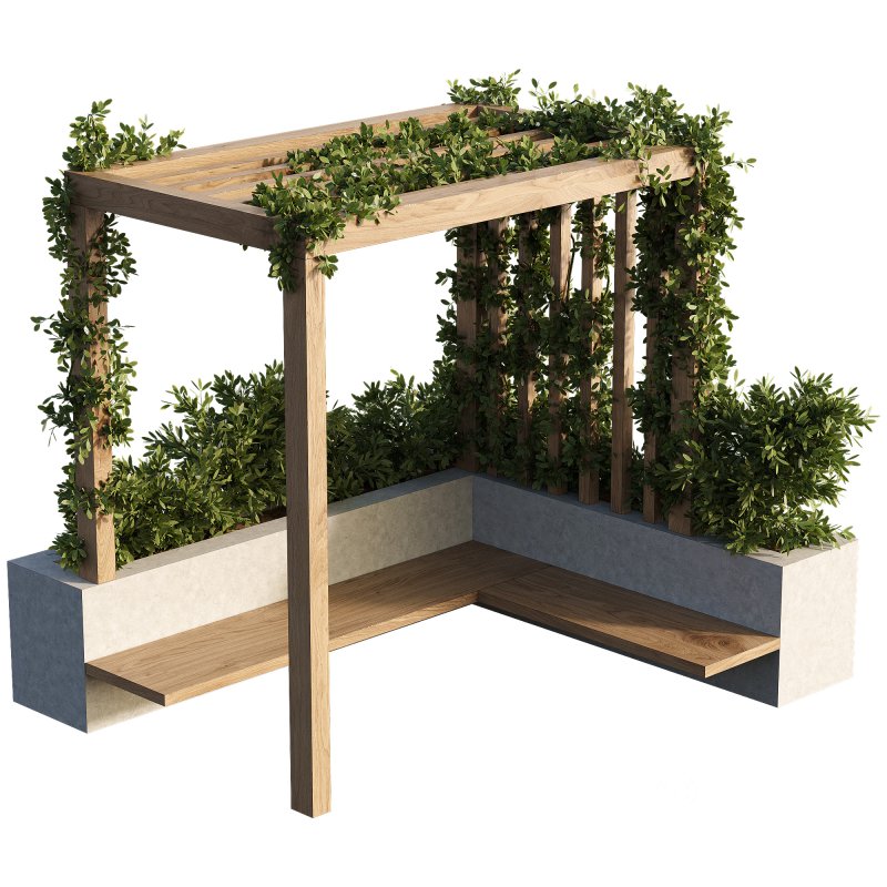 OutDoor plants – 3 Pergola plants set Image 4