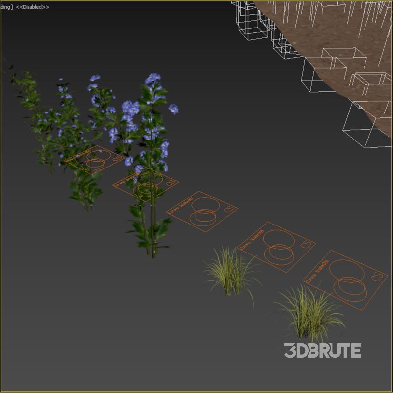 meadow (spring) Image 1