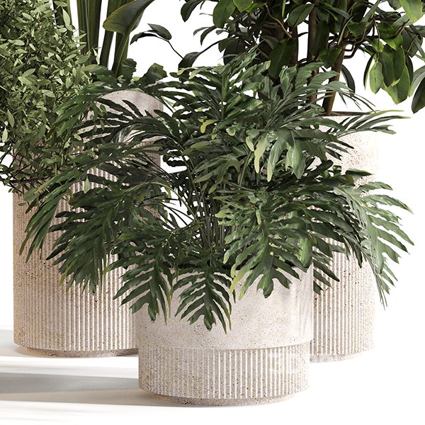 Indoor Plant Set 0154 Image 4