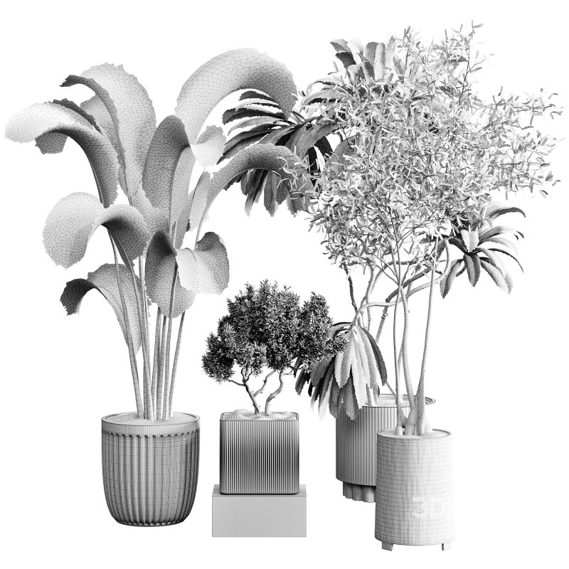 indoor plants 121 – plant collections in pot Image 1