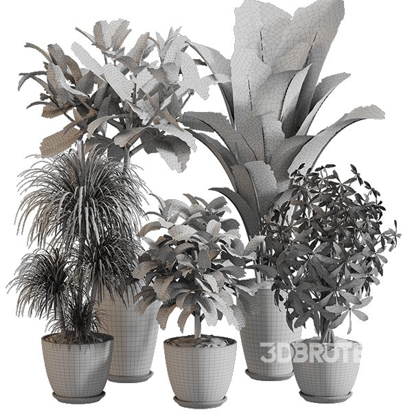 Indoor Plant Set 0155 Image 5