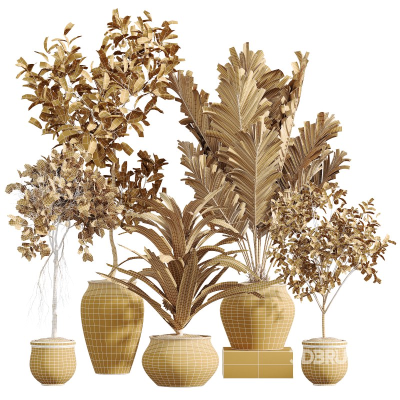 AV Indoor Plants Set 258 Olive Eucalyptus and Palm Paradise and Dracaena and Briful Image 10