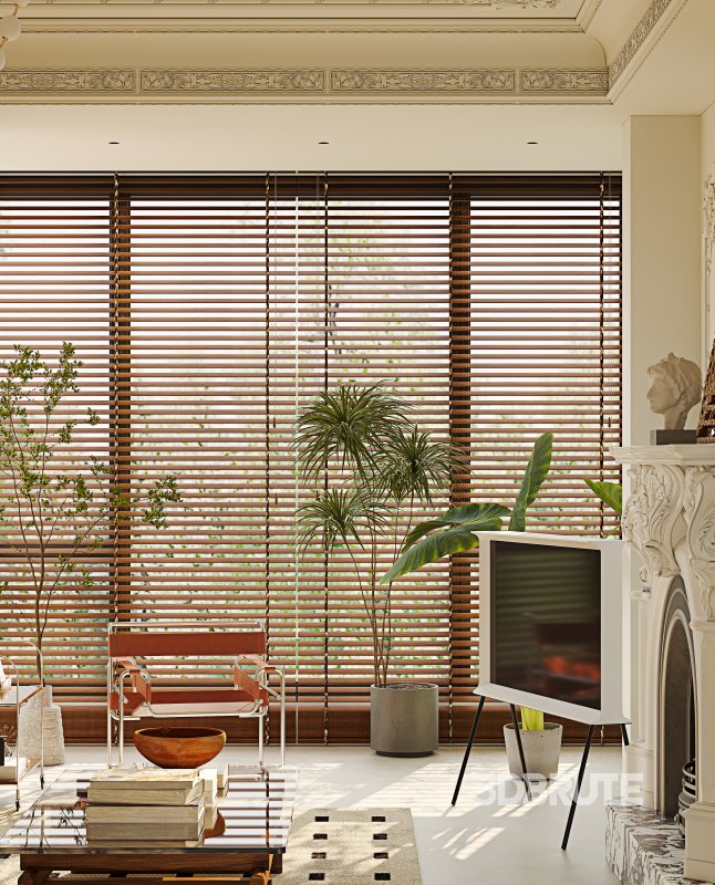 Luxurious living room and dining room Image 7