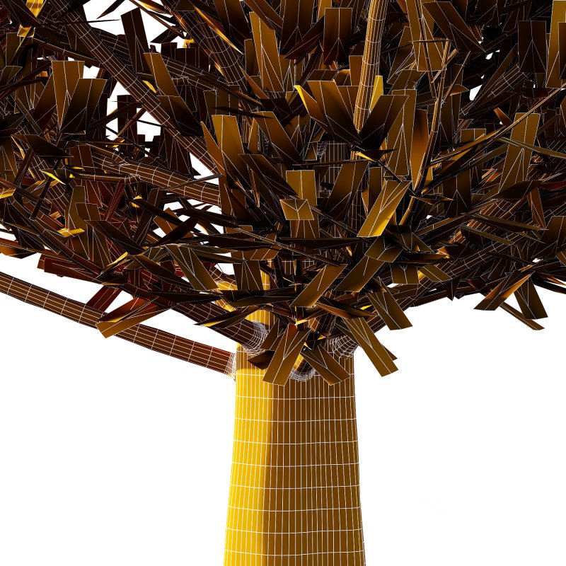 Fagus Grandifolia Tree 03 Image 2