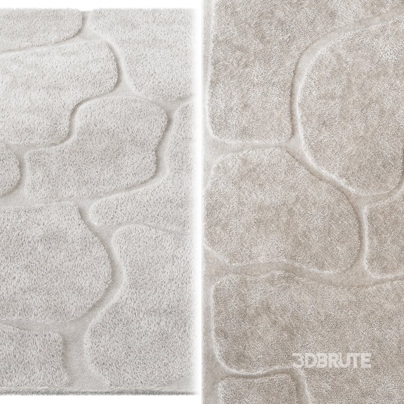 Carpet Lunar Image 4