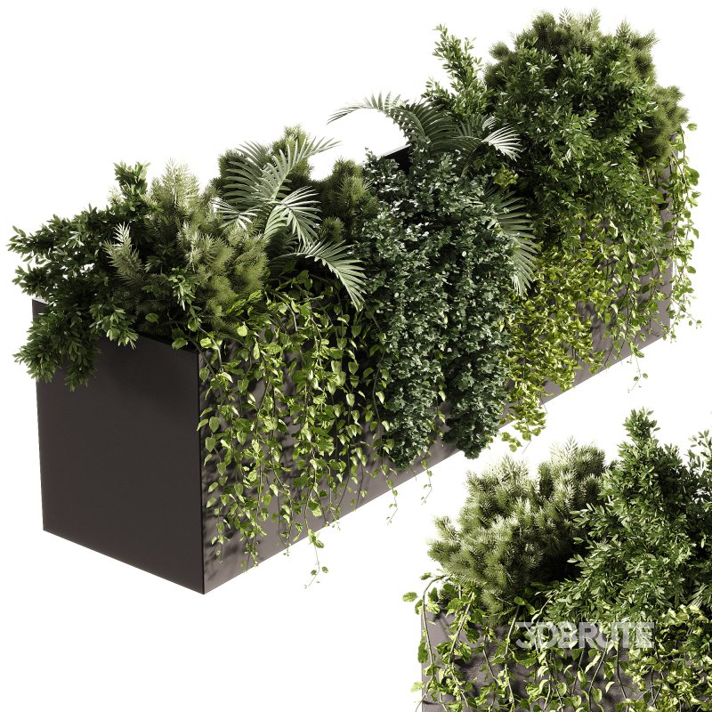 Indoor Plants – 24 Hanging plants Image 1