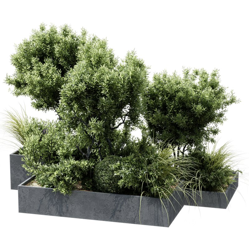 Outdoor plants 12 Image 3