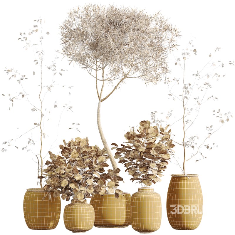 AV Indoor Plants Set 271 Japandi Ficus Dracaena Marginata and Foliage Dollar Authentic Eucalyptus Bouquet Image 8