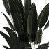 Indoor plant set with plant tree concrete dirt vase 02 - Thumbnail 3