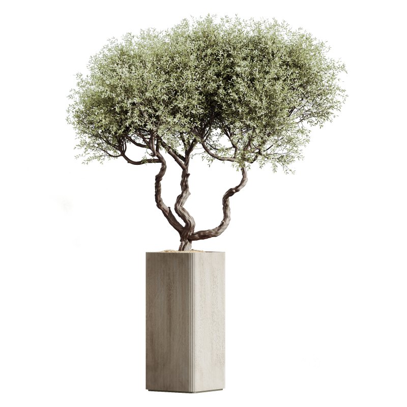 AV Indoor Plants Set 264 Image 1