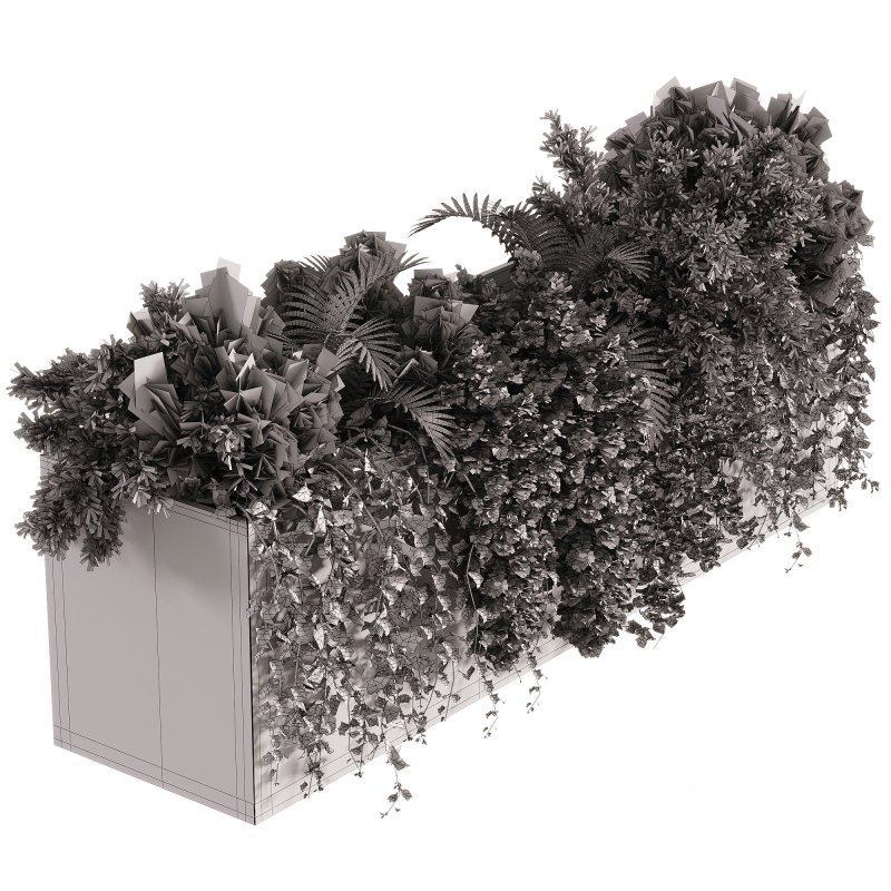 Indoor Plants – 24 Hanging plants Image 3