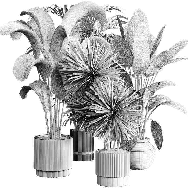 indoor plants 114 – plant collections in pot Image 2