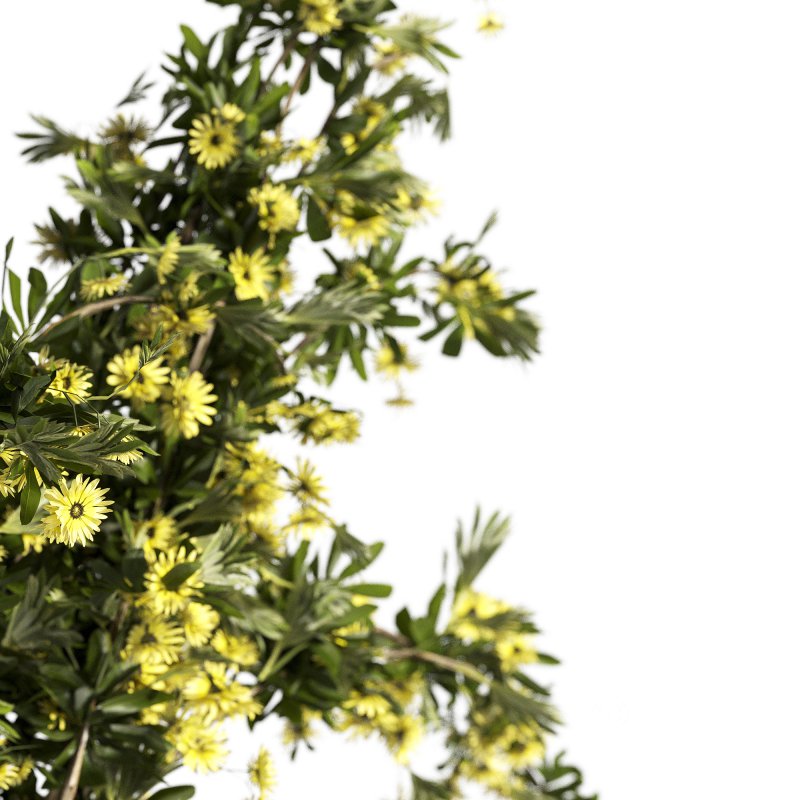 coolection Plants bouquet vase Image 2