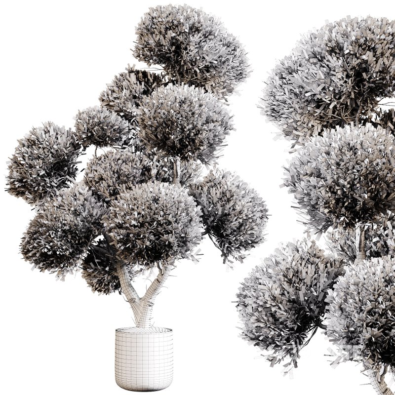 Indoor plants 75 – Plant in pot Image 2