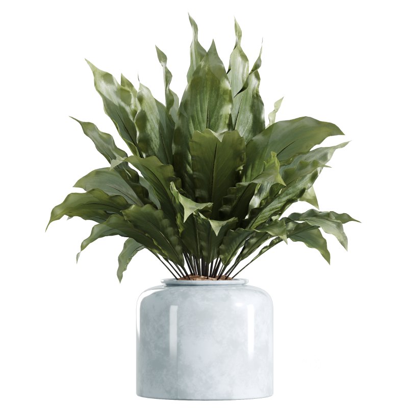 AV Indoor Plants Set 248 Pelagio Palm and Yucca Elephantipes and Cuban Cigar and Olive Elegant and Peace Lily Image 1